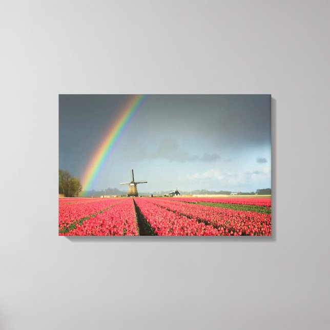Rainbow, tulips and windmill canvas (Front)