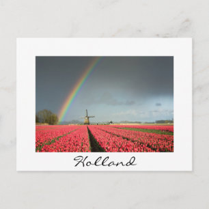 Rainbow, tulips and windmill in Holland postcard