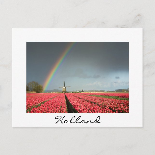 Rainbow, tulips and windmill in Holland postcard (Front)