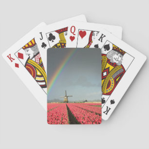 Rainbow, tulips and windmill playing cards