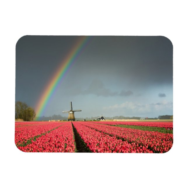 Rainbow, tulips and windmill rectangular magnet (Horizontal)