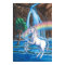 Rainbow Unicorn