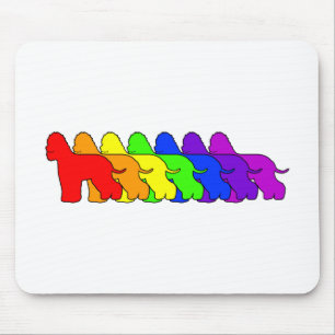 Rainbow Whiptail Mouse Pad