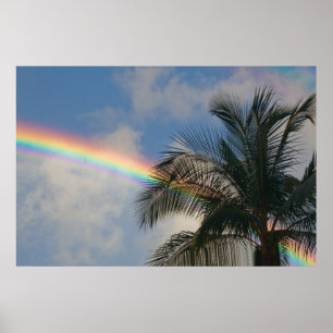 Rainbow with Palm Tree Poster