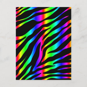 rainbow zebra postcard
