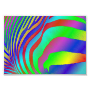 Rainbow Zebra Print