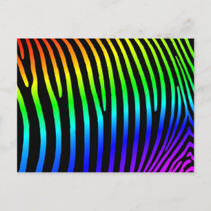 Rainbow Zebra Stripes Postcard
