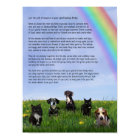 RainbowBridge Jane Poster