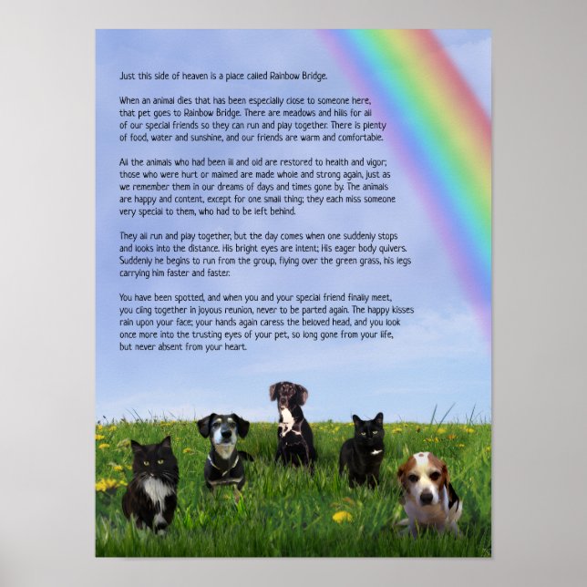 RainbowBridge Jane Poster (Front)