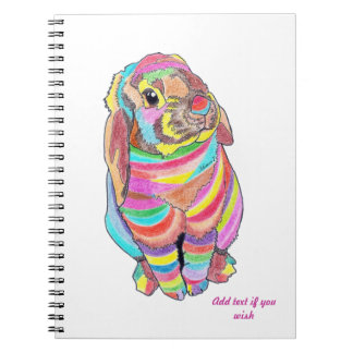 Rainbowbunny Notebook