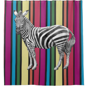 Rainbows and Zebras