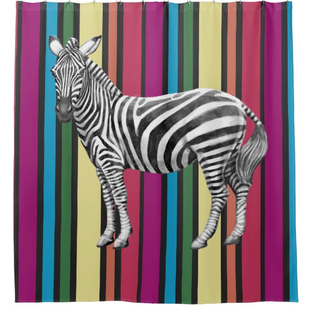 Rainbows and Zebras (Front)