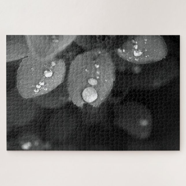 Raindrop on a Leaf Jigsaw Puzzle (Horizontal)