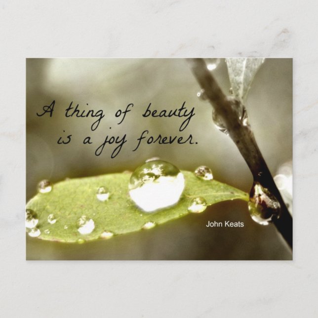 Raindrop on leaf, with quote: "A thing of beauty" Postcard (Front)