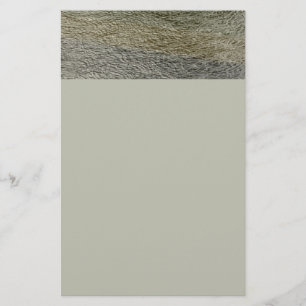Raindrop Ripples Abstract Nature Photography Stationery