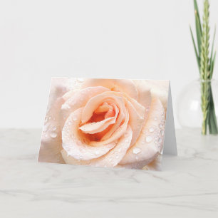 Raindrop rose greeting card