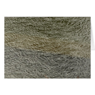 Raindrop se répand Abstrait Nature Photography