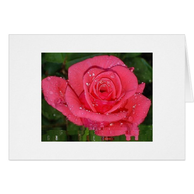 Raindrops (Front Horizontal)