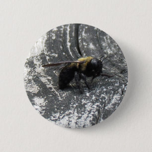 Raindrops 2 Inch Round Button