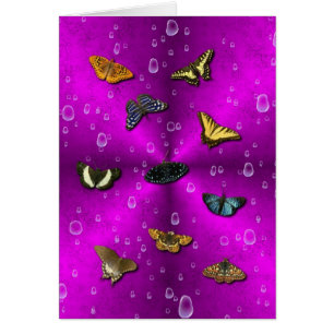 Raindrops and Butterfly on Pink Rainbow