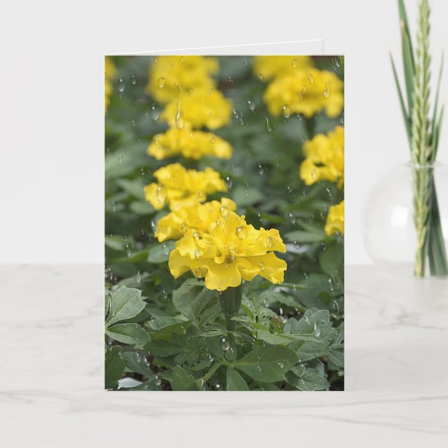 raindrops and marigold flower card (Front)