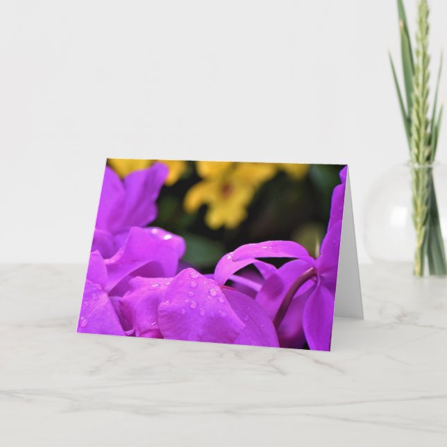 Raindrops, carte (Devant)