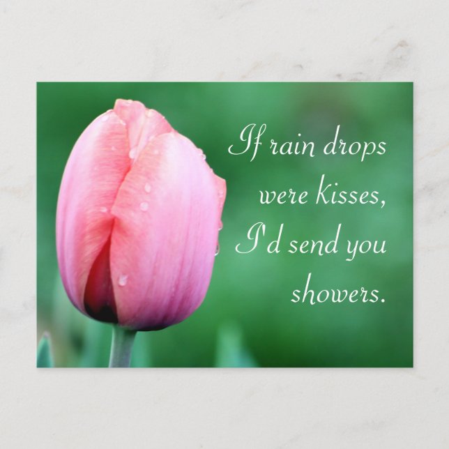 Raindrops & Kisses Tulip Photography Postcard (Front)