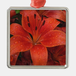 Raindrops on a Lily Metal Ornament