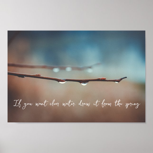 Raindrops on a tree branch poster (Front)