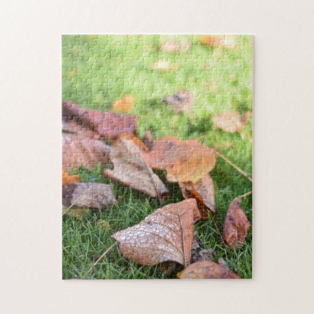 Raindrops on Autumn Leaves Regent's Park London Jigsaw Puzzle (Vertical)