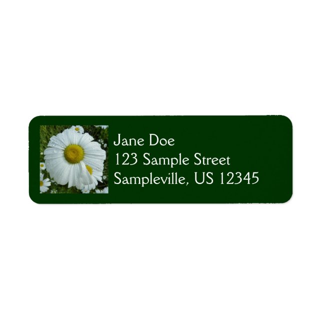 Raindrops on Daisy I Wildflower Floral (Front)