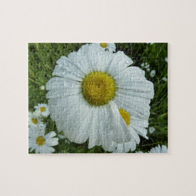 Raindrops on Daisy I Wildflower Floral Jigsaw Puzzle (Horizontal)