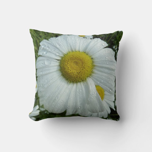 Raindrops on Daisy I Wildflower Floral Throw Pillow (Front)