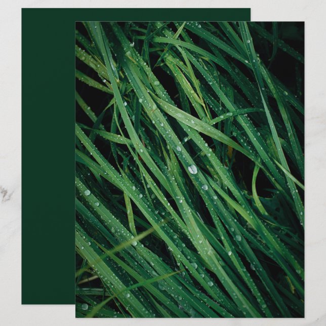 Raindrops on grass scrapbook paper (Front/Back)