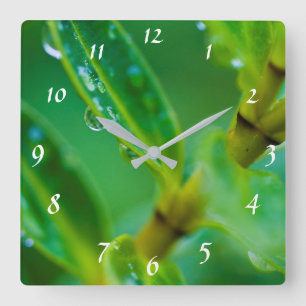 Raindrops on green leaves Acrylic wall clock