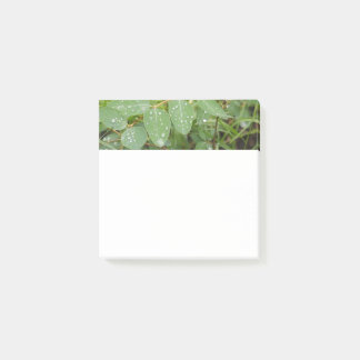 Raindrops on Green Leaves Post-It Notes