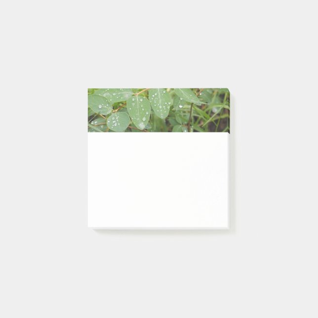 Raindrops on Green Leaves Post-It Notes (Front)