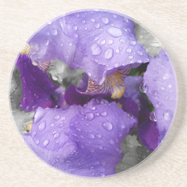 raindrops on iris coaster (Front)