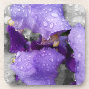 raindrops on iris coaster