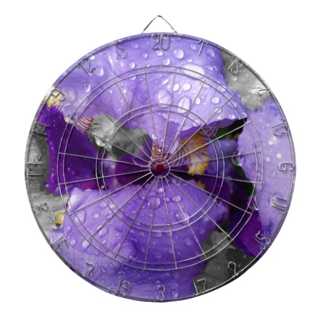 raindrops on iris dartboard (Front)