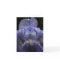 Raindrops on Iris - Greeting Card