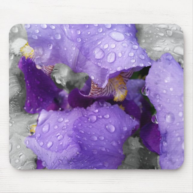 raindrops on iris mouse pad (Front)