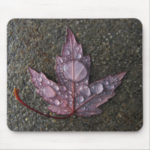 Raindrops on Leaf Mouse Pad