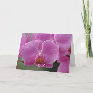 Raindrops On Orchids Note Card