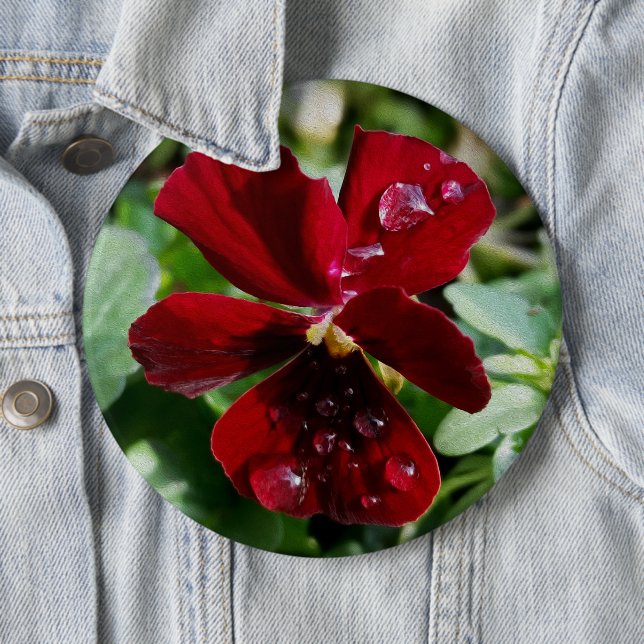 Raindrops on pansy 6 inch round button (In Situ)