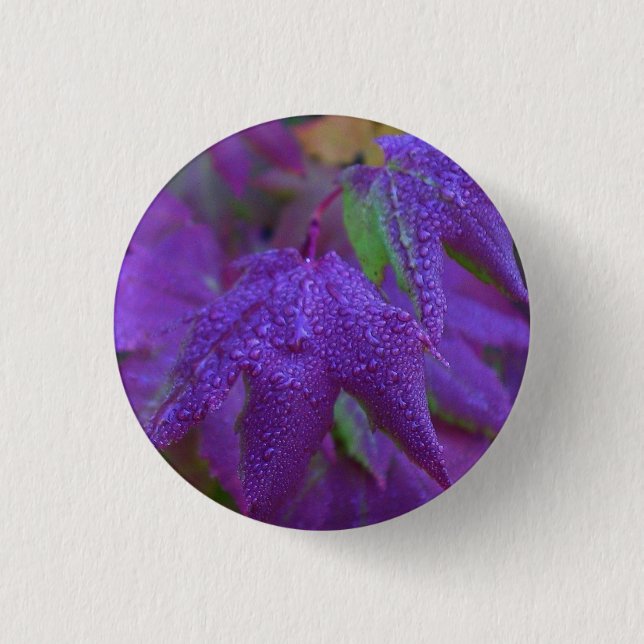 Raindrops on Purple Leaves 1 Inch Round Button (Front)