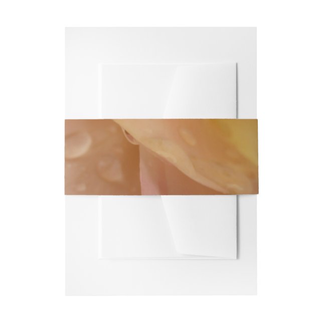 Raindrops on Rose Petals Pink Peach Floral Invitation Belly Band (Front Example)