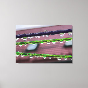 Raindrops on strings canvas print