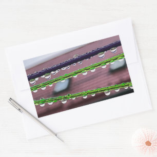 Raindrops on strings sticker