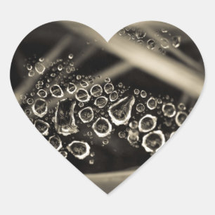 raindrops on web heart sticker